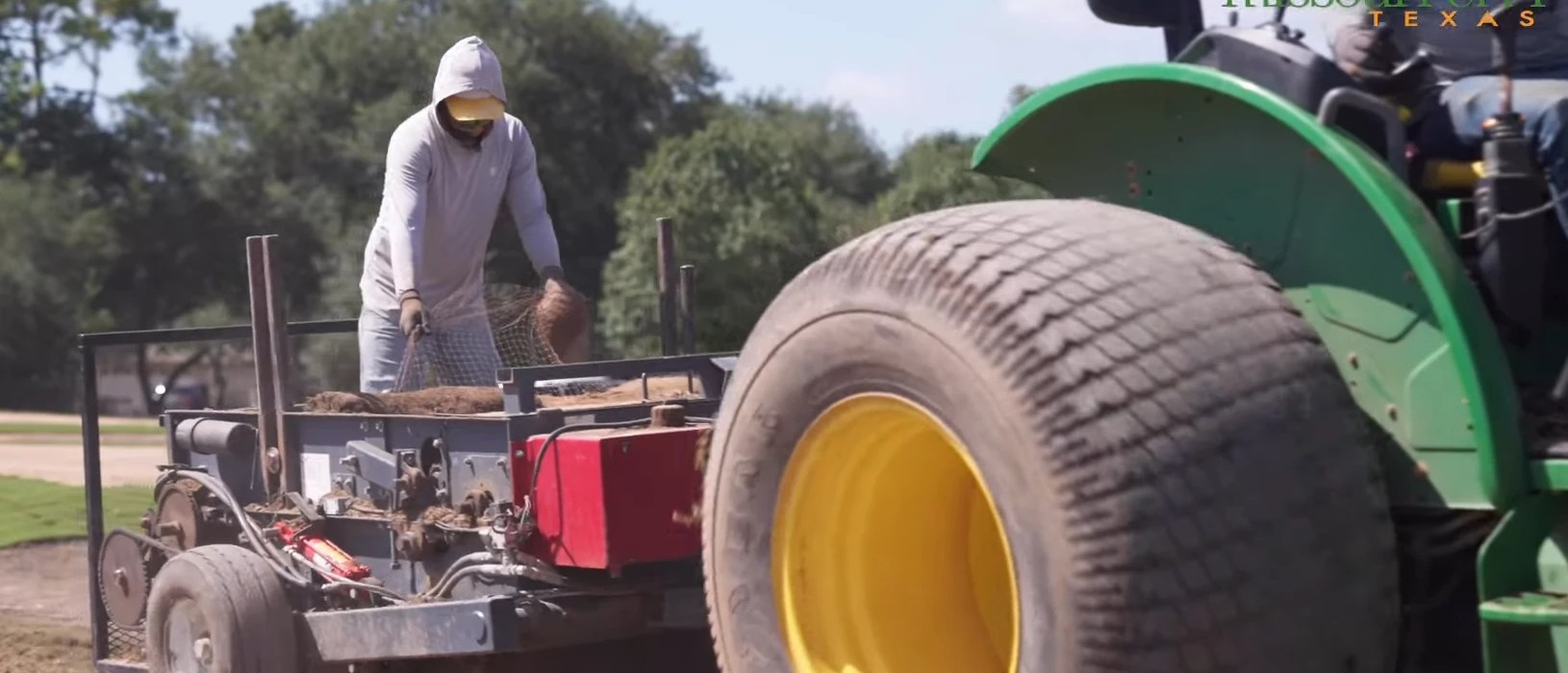 Sprigging Grassing Golf Course Renovation