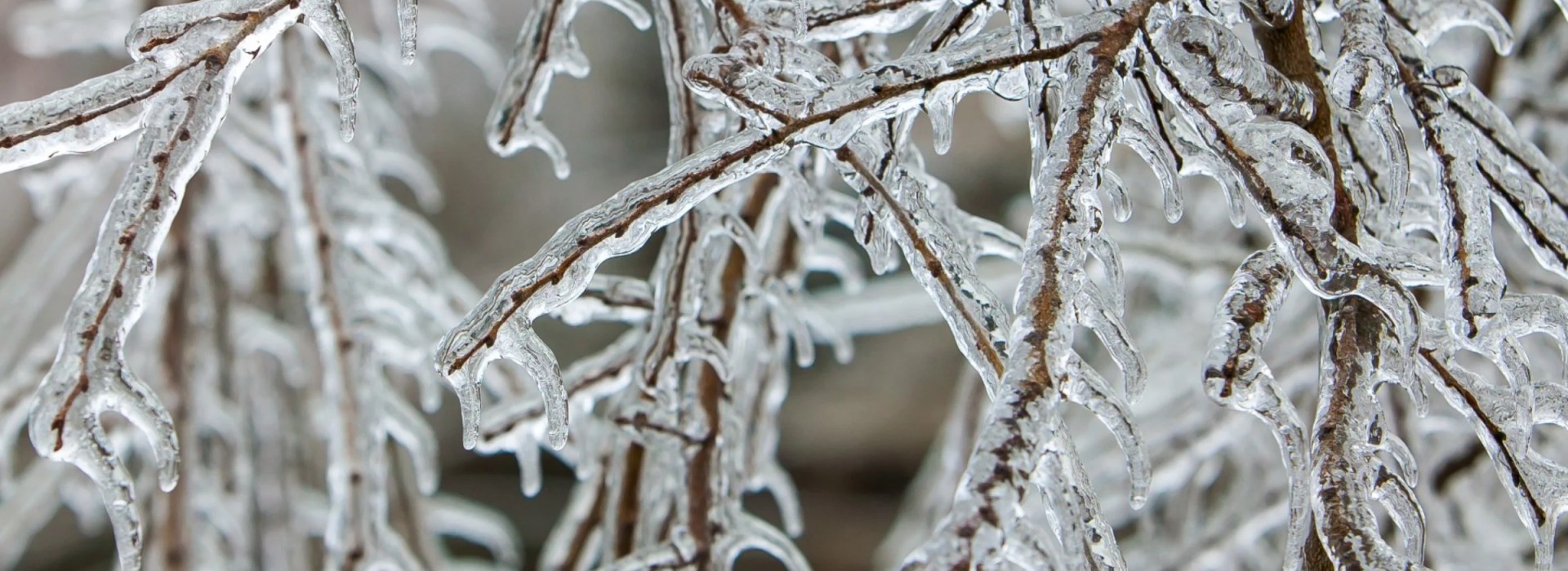 freezing - golf course and restaurant closed