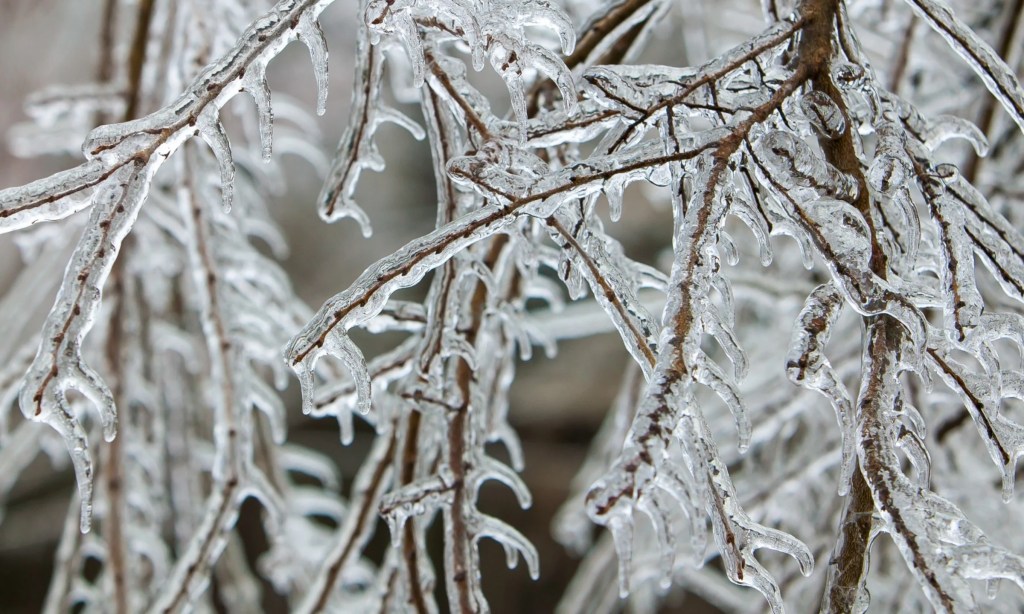 Freezing Weather Update for Jan 2026